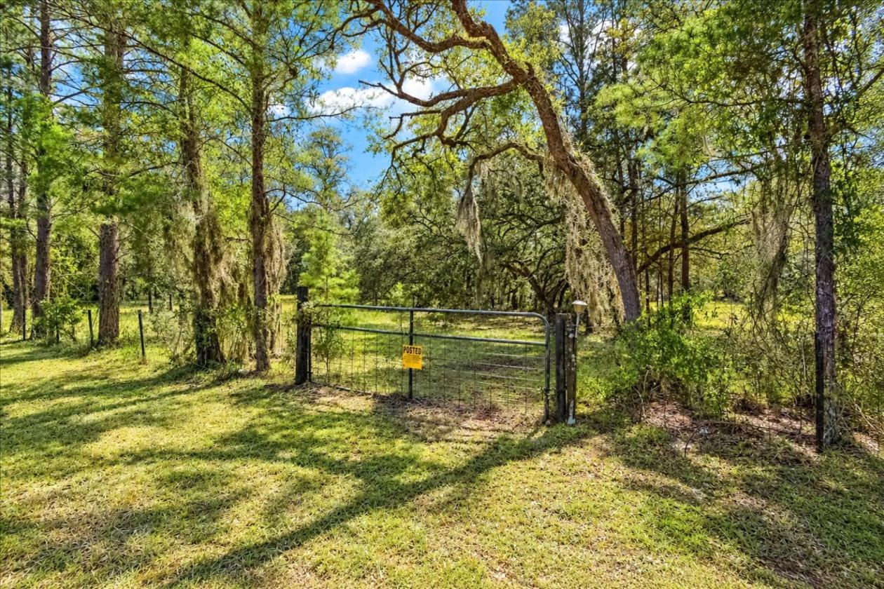 32 ACRES IN LEVY COUNTY NEAR WILLISTON - photo 16