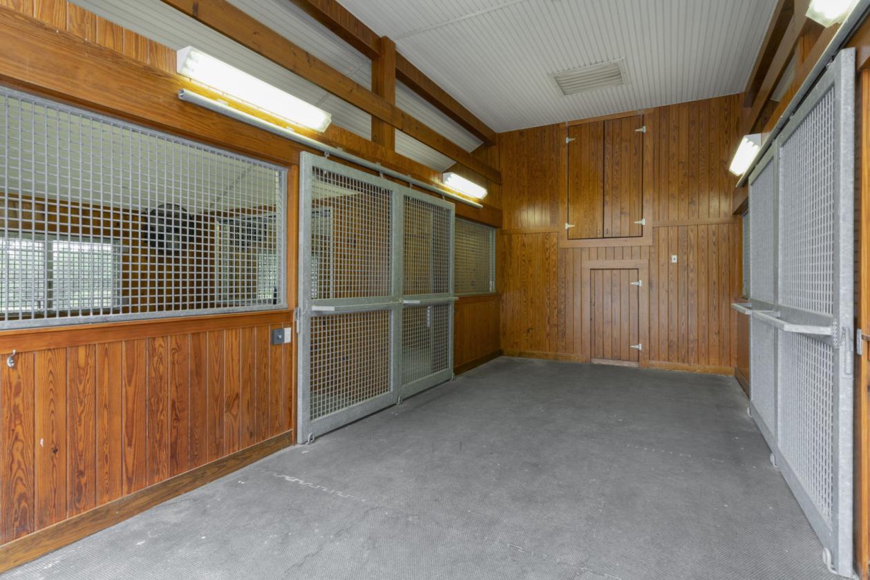 Magnificent 31+ ac equestrian estate - photo 20