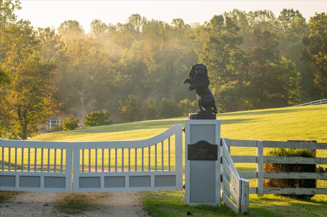 Estate with horses and golf on site - photo 1