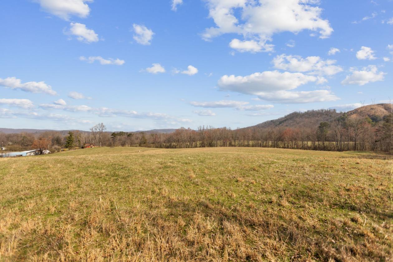 Rare East TN 36 acre farm on the Emory River - photo 26