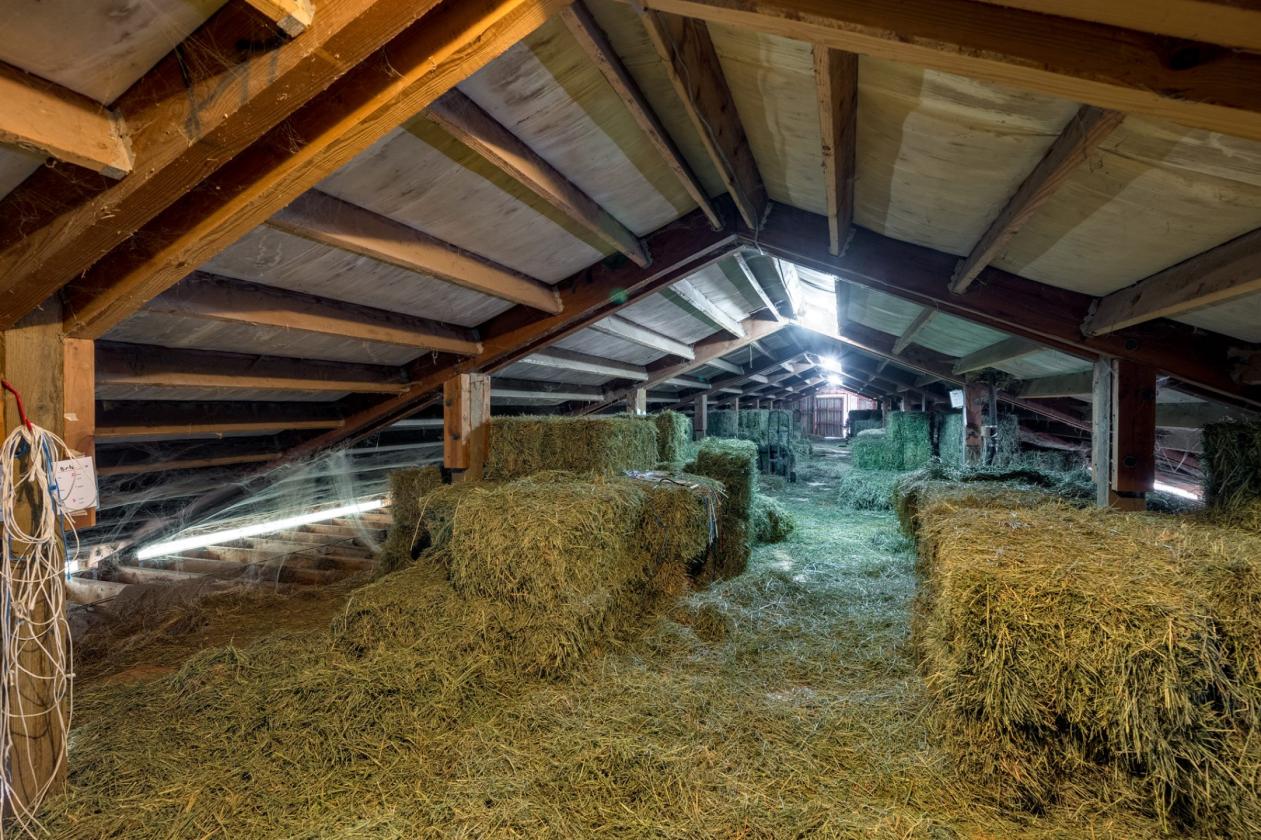 Luxury equestrian estate with pool, barn, arenas - photo 26