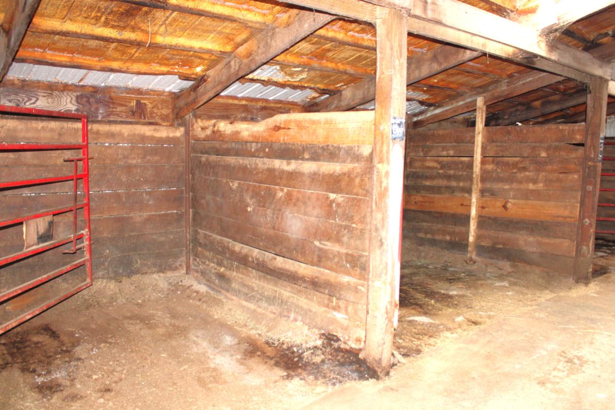 Central Indiana Horse Training & Boarding Facility - photo 22