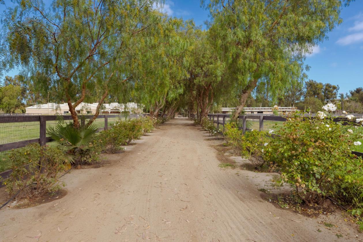 25 Acre Residential & Equestrian Facility - photo 22