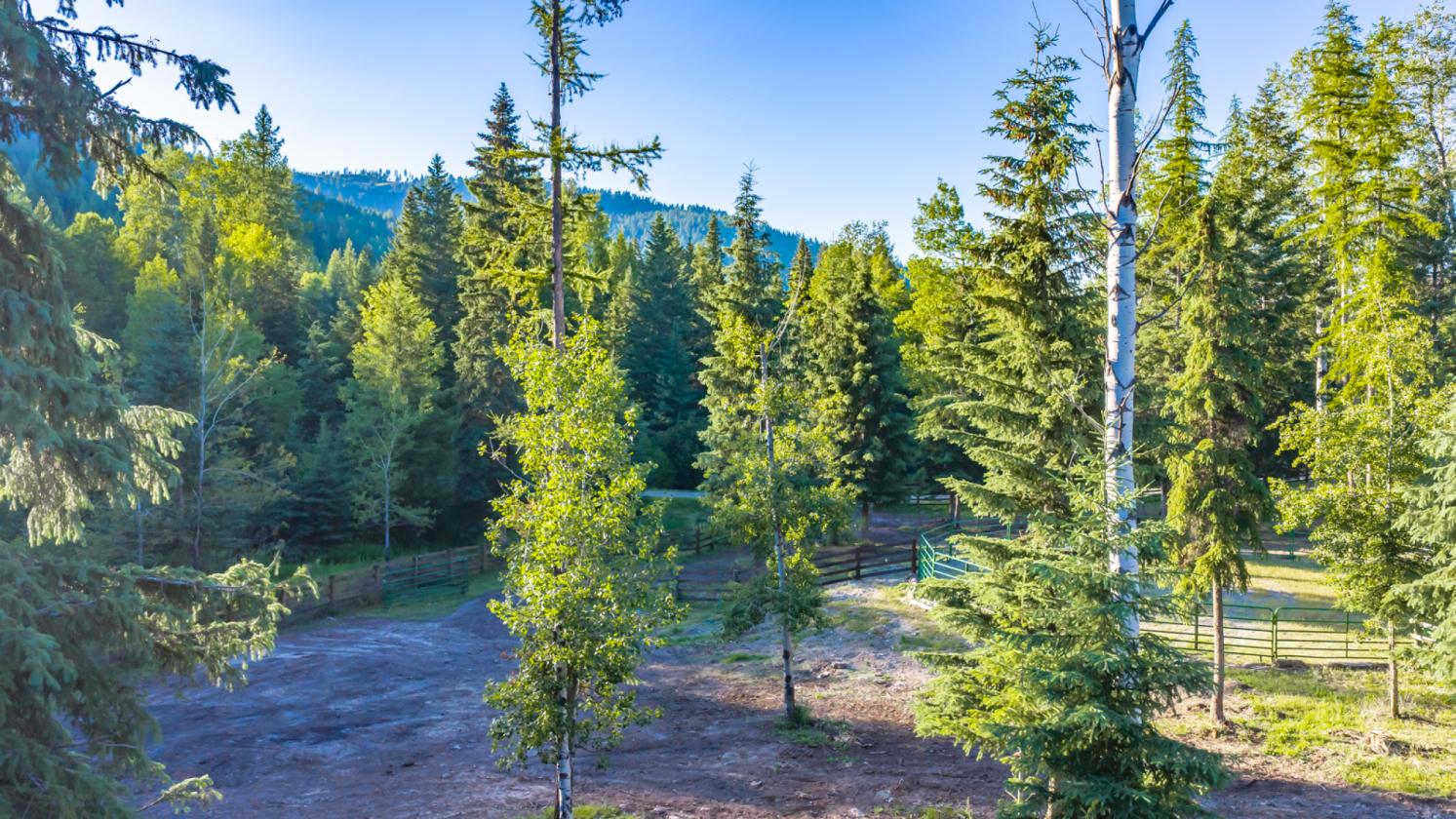 Wild Bill Creek Enclave - photo 12
