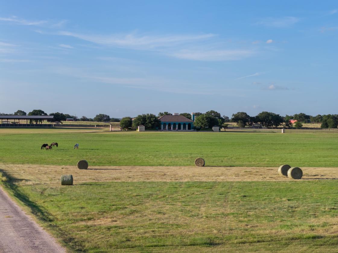 Luxury Equestrian Estate on 73 Acres - photo 9