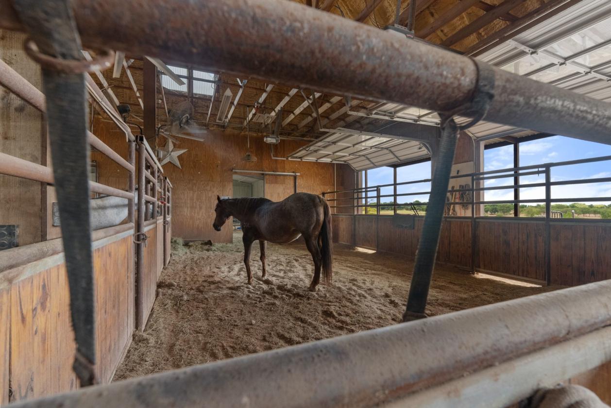 Your Texas Equestrian Dream Starts Here - photo 28