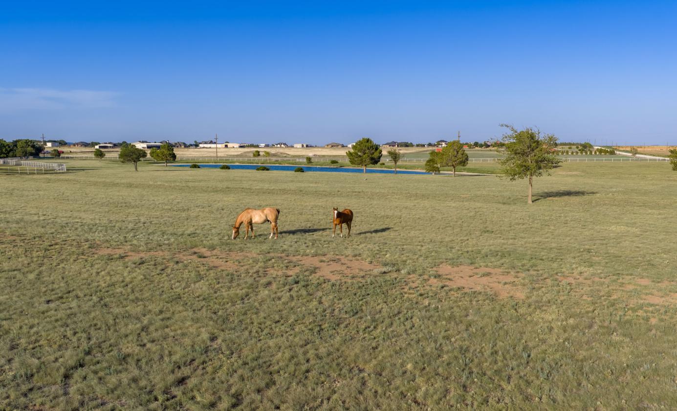 7B Ranch - photo 27