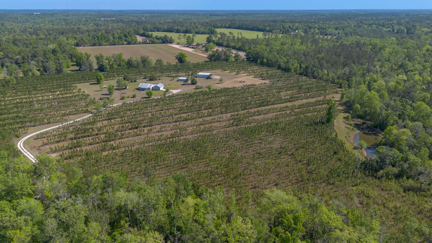 Horse property with gorgeous views - photo 8