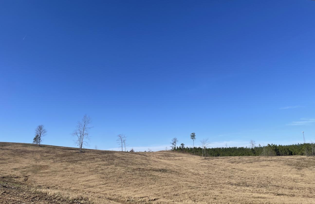 160 Acres in Shelby County w/ pastures and lake - photo 21
