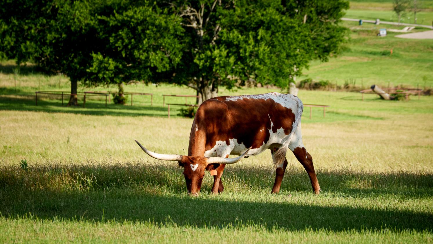 Walcott Ranch - photo 15