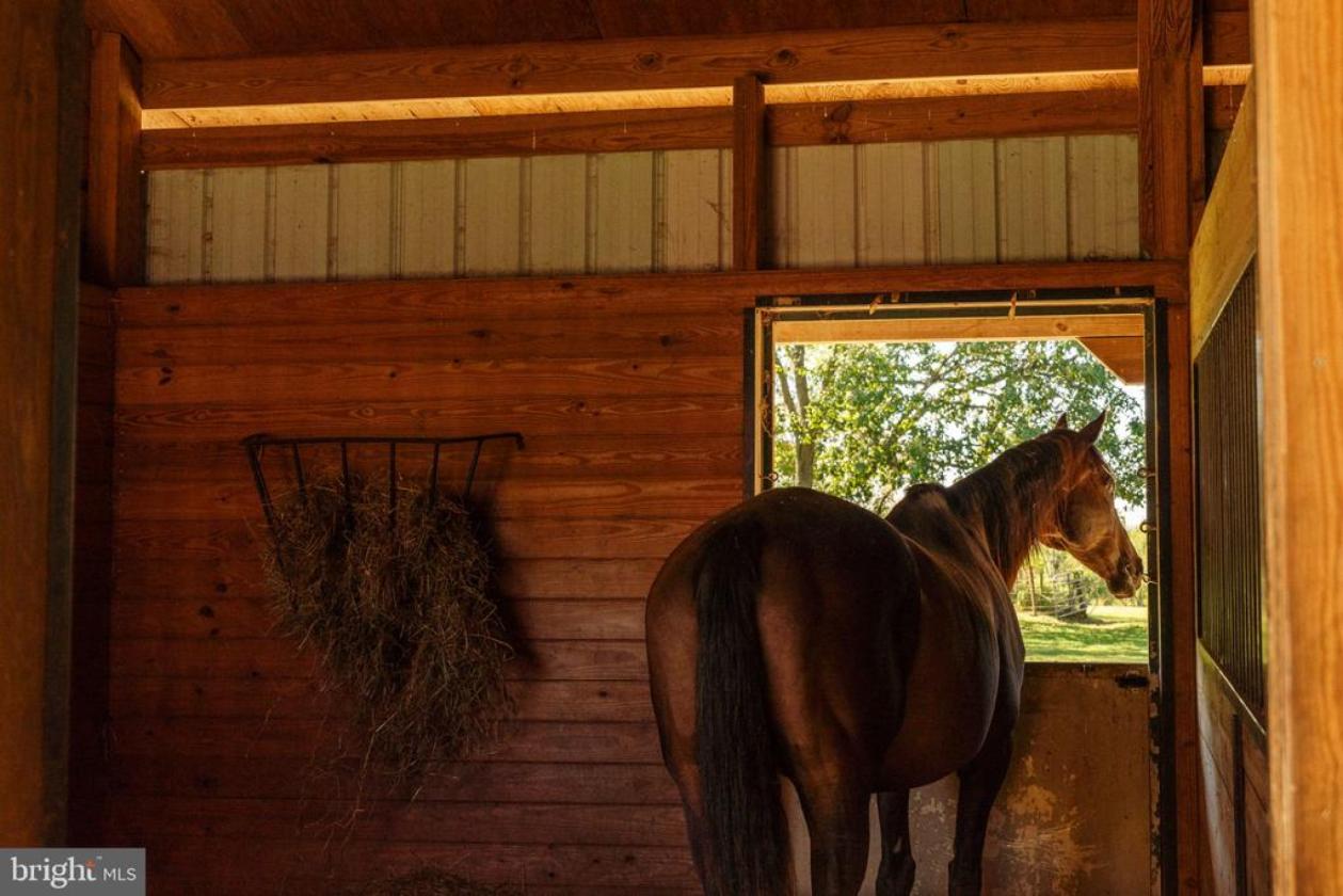 Luxury Equestrian Estate with 4-Stall Barn & Arena - photo 26
