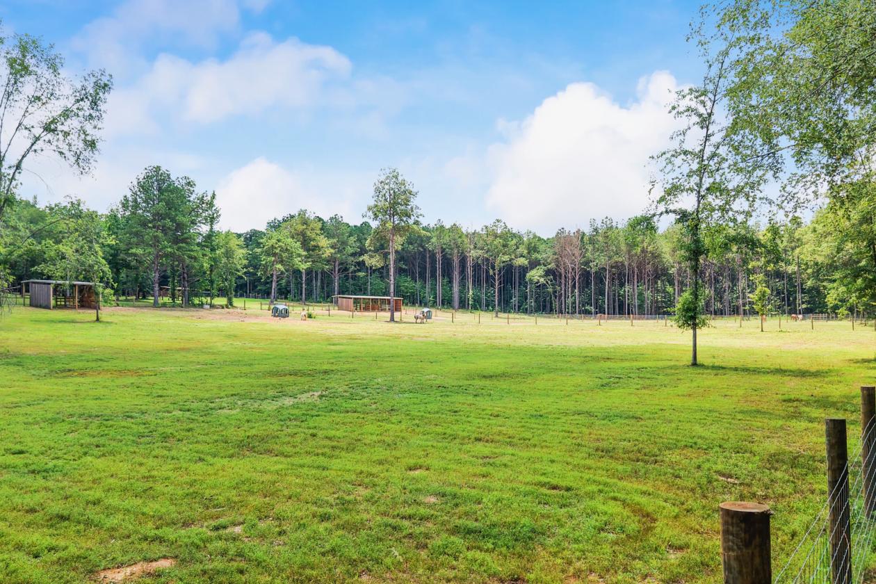 89.99 acre horse farm with lighted arena & more - photo 8