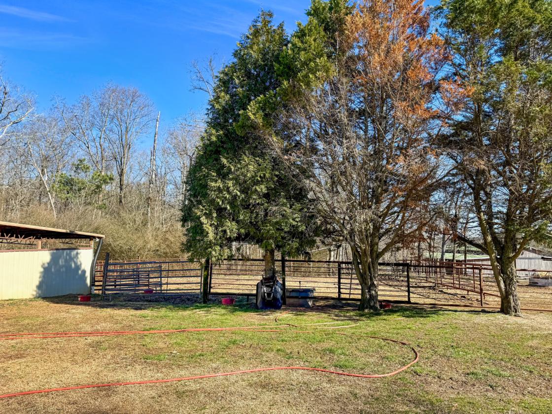 Macedonia Farm & Equestrian Estate - photo 24