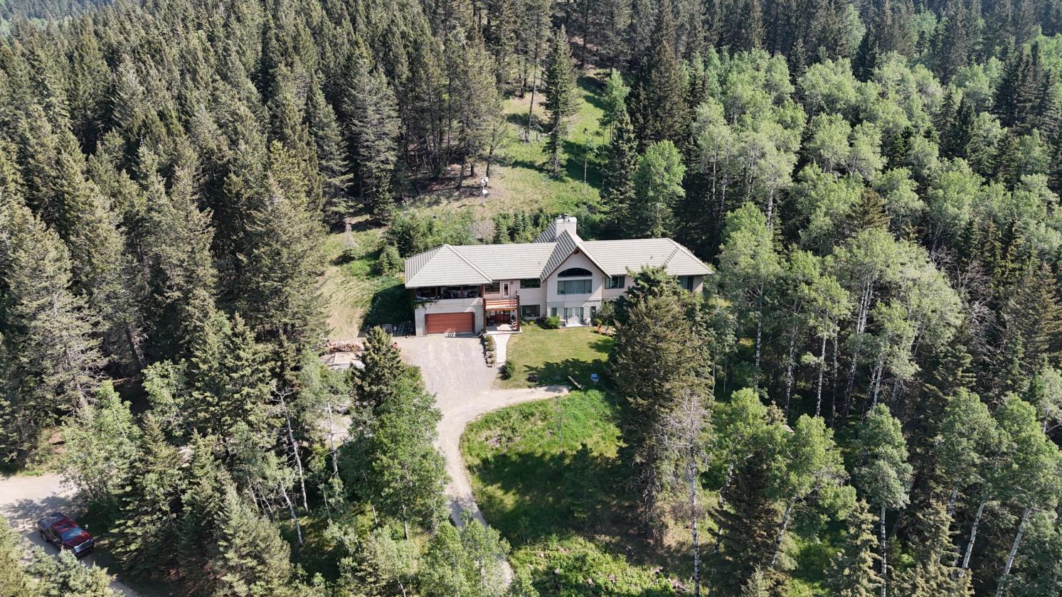 20 ACRES OF FOREST PARADISE - photo 1