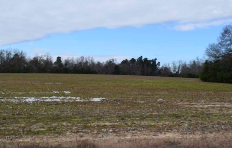 Green Acres Elko Farms Williston, Barnwell County, South Carolina