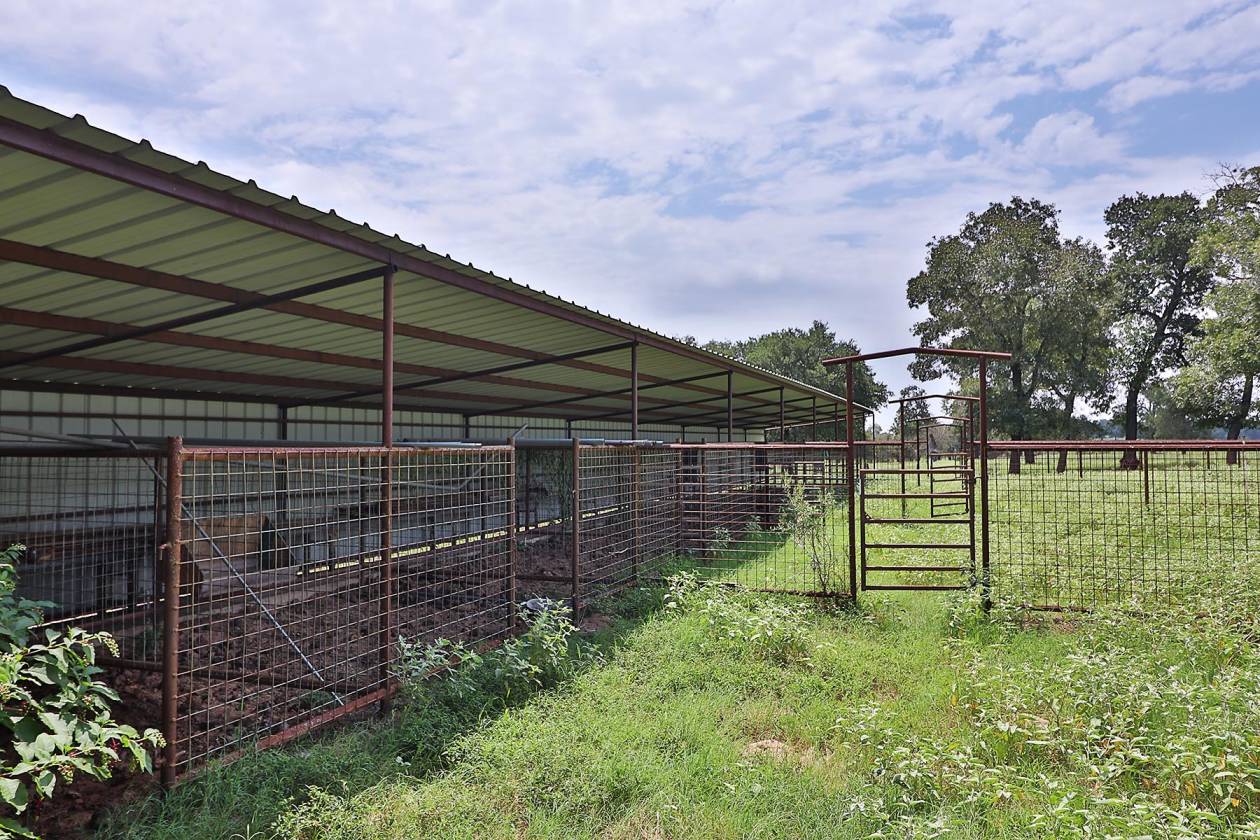 San Antonio Area 50+ Acre Luxury Equestrian Ranch Estate, Big