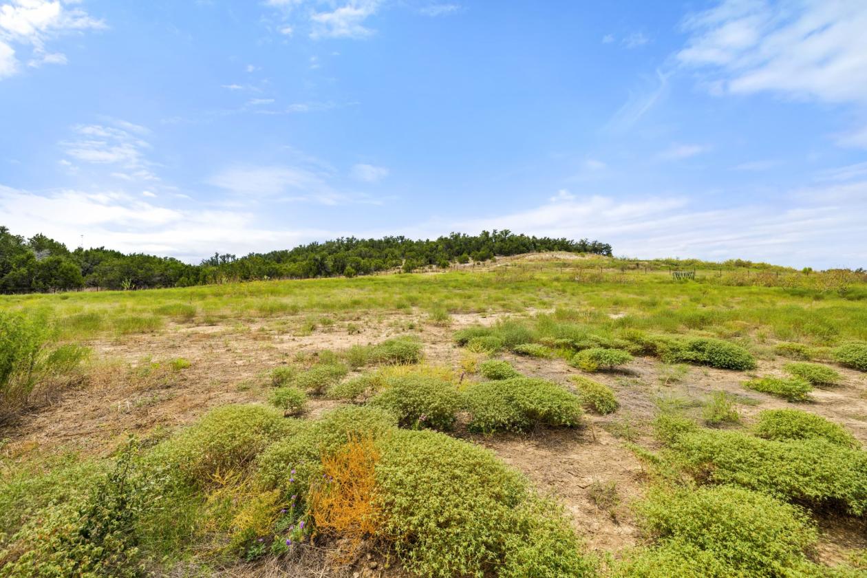 Palomino Ranch - photo 9