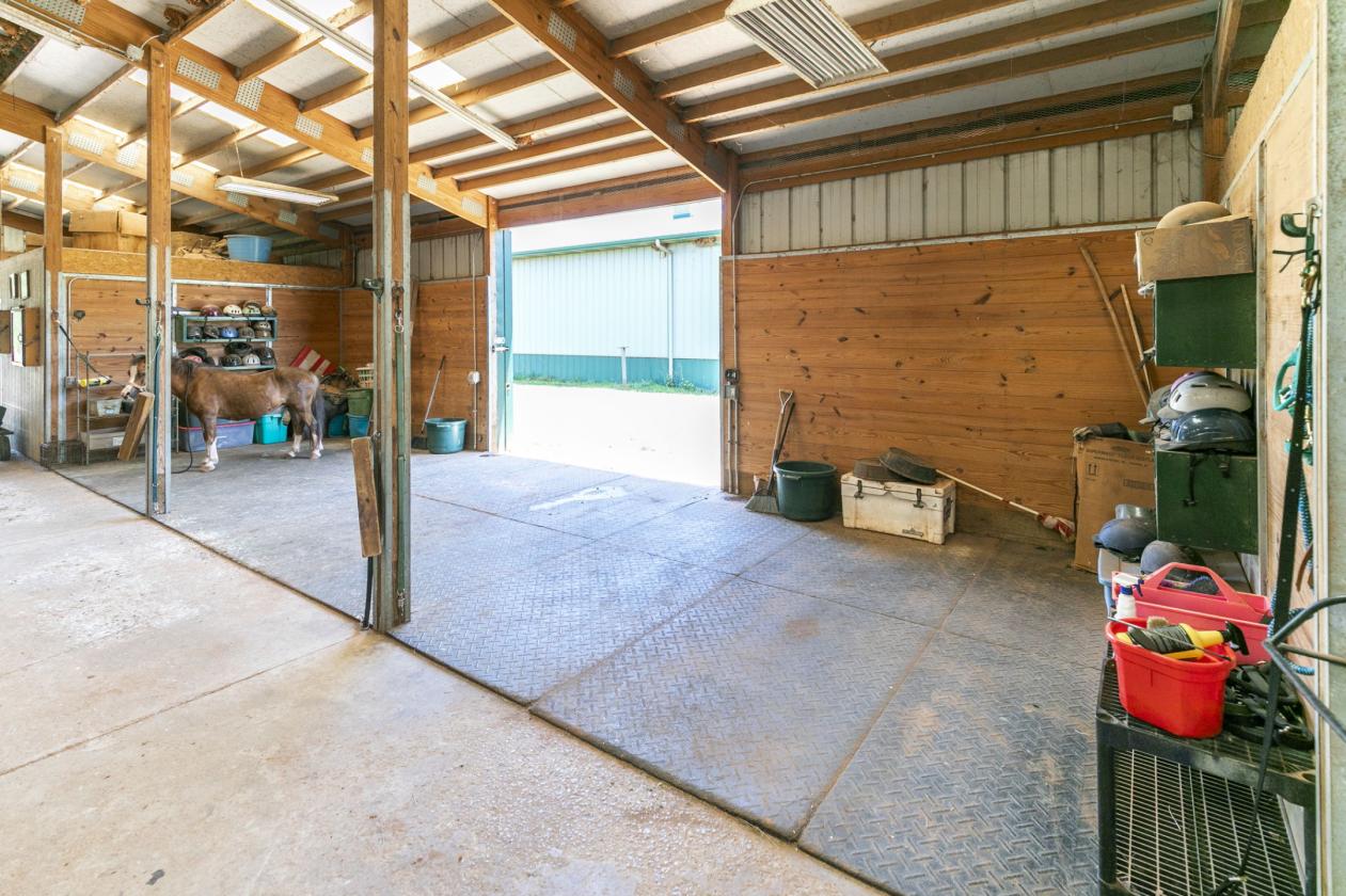 Professional Boarding/Training Facility - photo 13