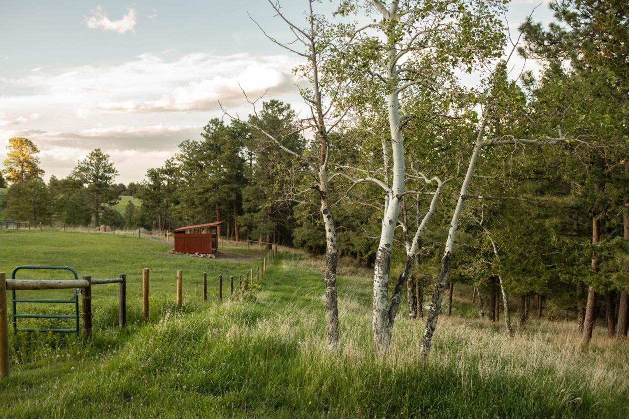 Bear Mountain Ranch - photo 28