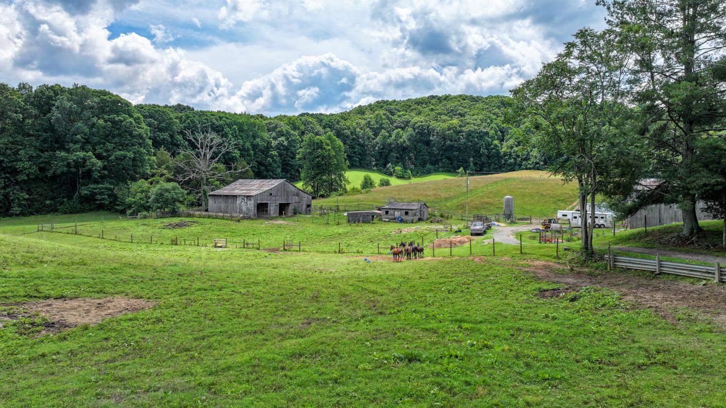 East TN Horse Property with Farmhouse! - photo 15
