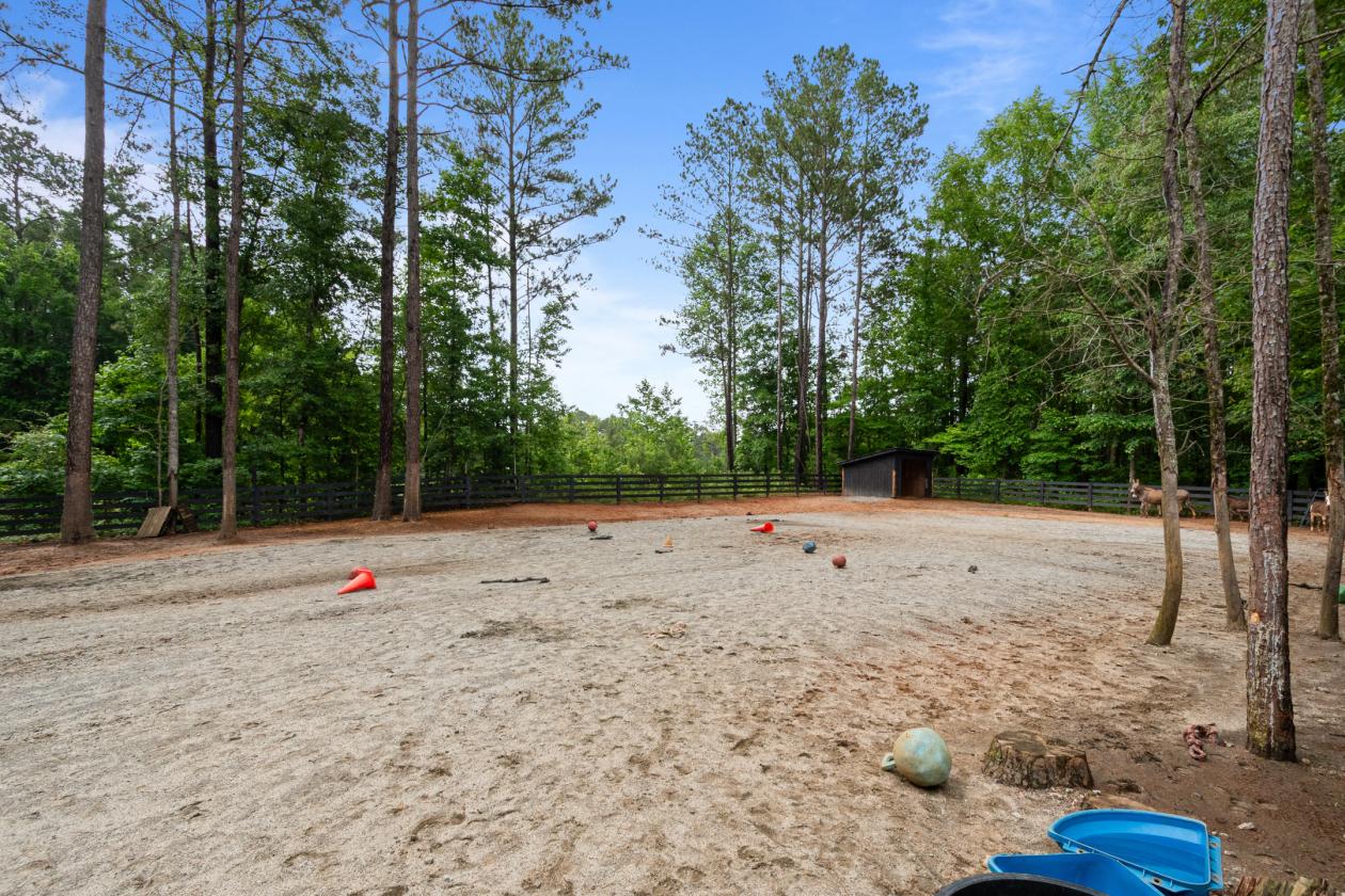 Blalock Lakes' Premier Equestrian Estate - photo 15