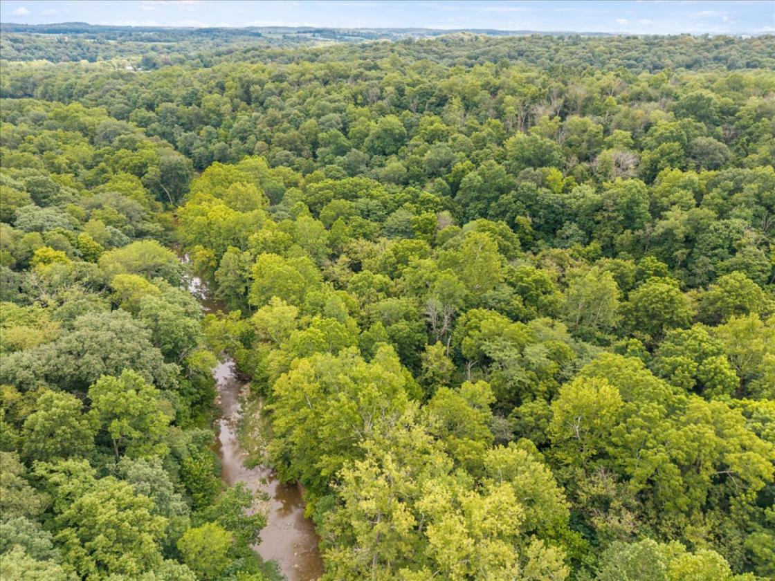 Over 173 acres for your equestrian dreams - photo 5