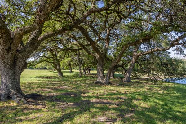 Basin Ranch Texas Bass Ranch: Where Luxury Living Meets Texas Legacy | Brenham ...