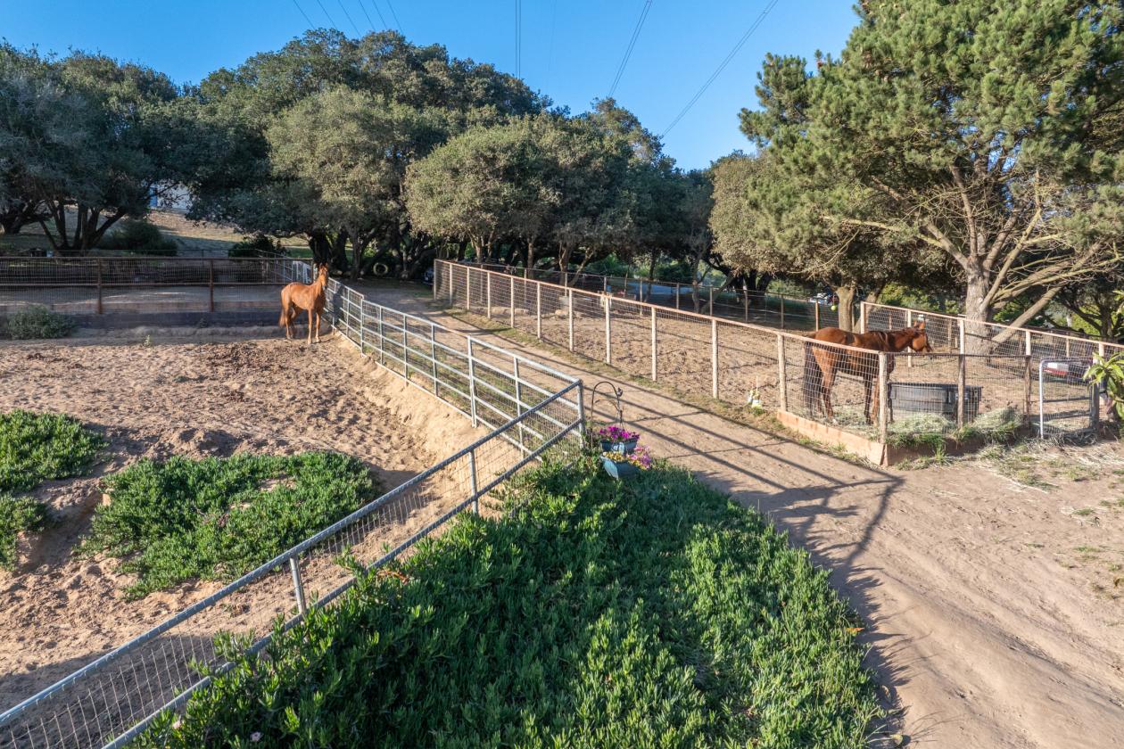 5 Acre Horse Property & Ocean Views - photo 26