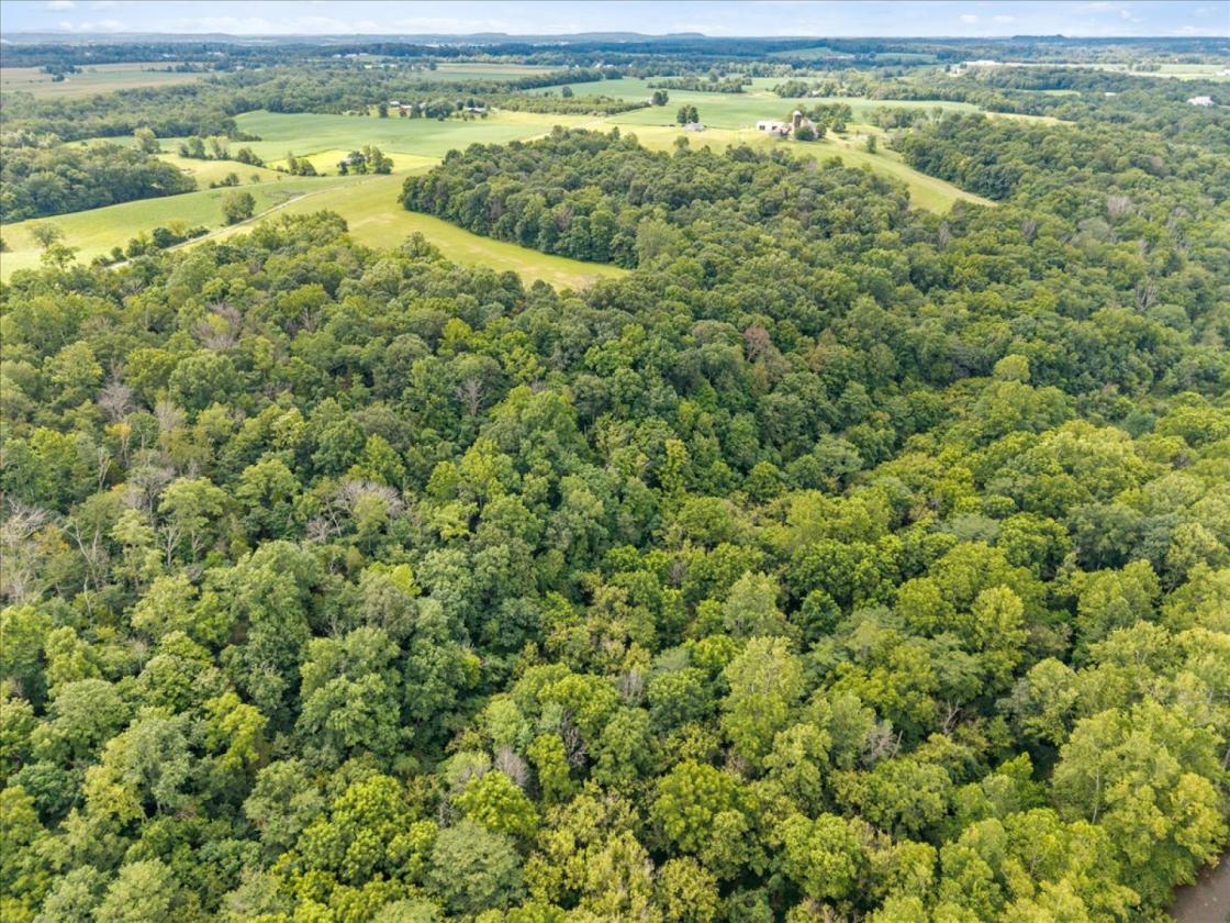 Over 173 acres for your equestrian dreams - photo 2