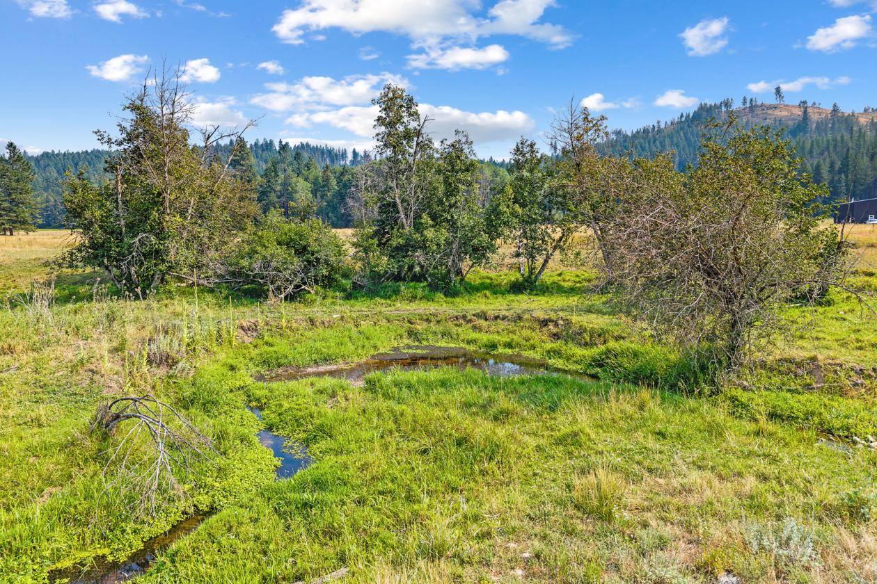 1923 Farmhouse on 36.5 acres w/ADU and more! - photo 21