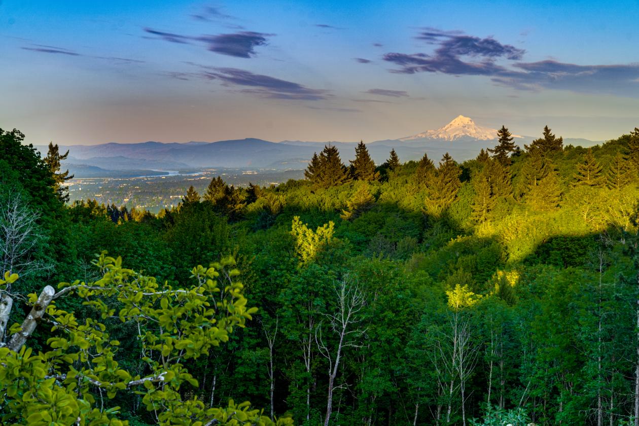 Gated 25-acre equestrian estate with sweeping Mt. - photo 16