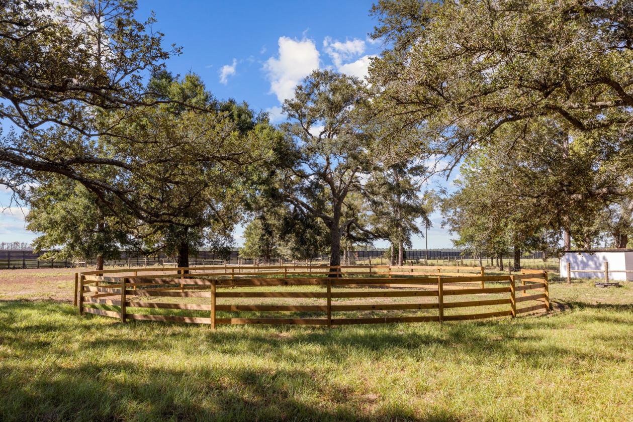 Modern Farmhouse with 3 Stall Barn on 20 Acres - photo 21