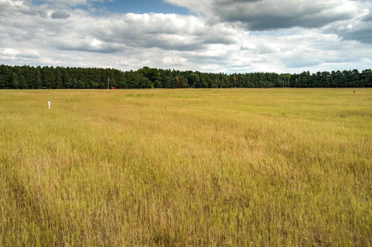 50.20 ACRES – BUILD YOUR EQUESTRIAN ESTATE & FARM - photo 10