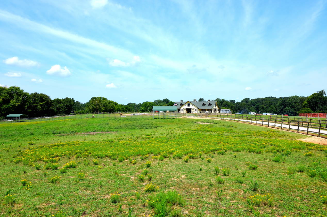 Amazing Opportunity! Outside Nashville Tennessee Springfield