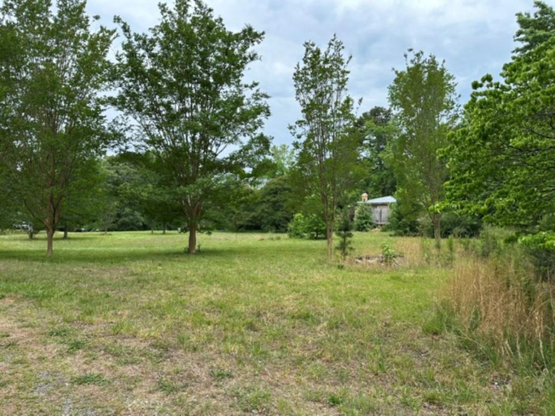 78.93 Acres Makes a Perfect Horse Farm Estate - photo 11