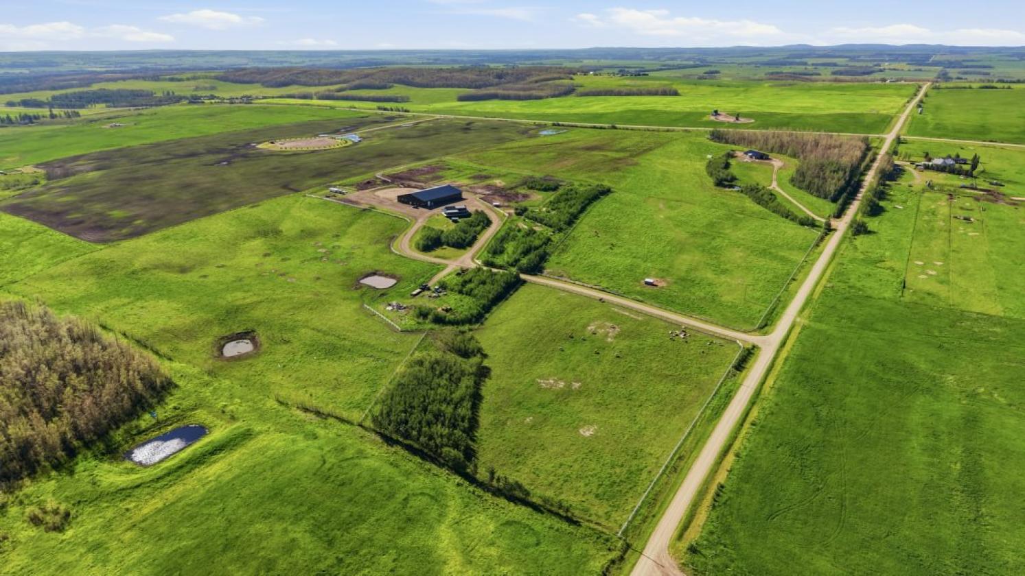 63+ Acre Equestrian Property - photo 26