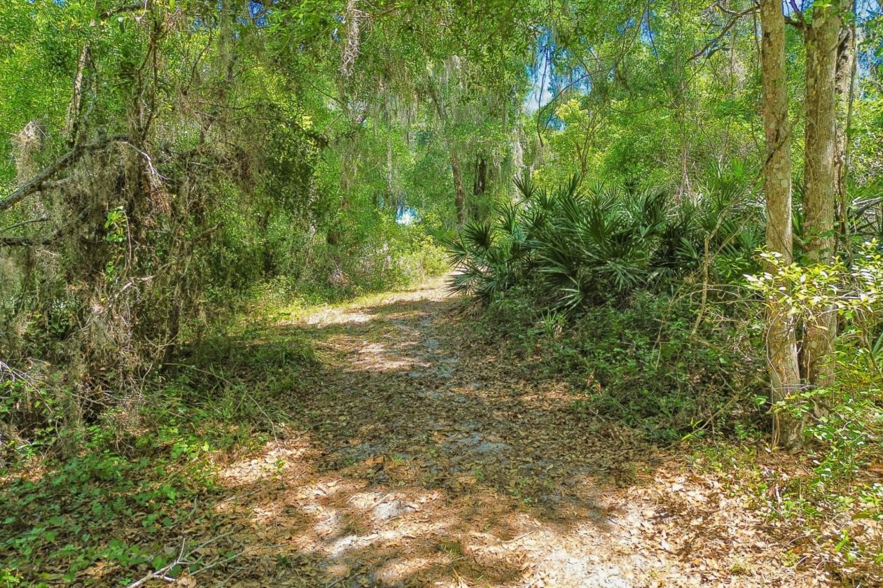17 acre horse farm HIGH AND DRY with arena & barn - photo 12