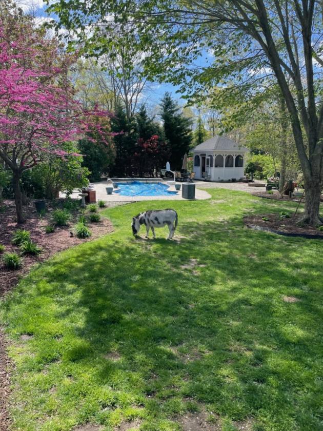 Horse Homestead on 2.73 Acres - photo 24