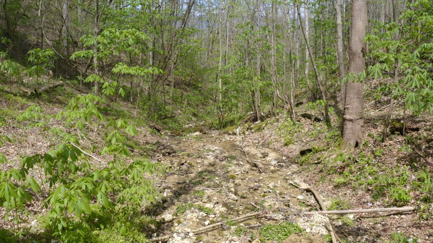 111 Acre Southwest Virginia Gentleman's Farm for sale in Ewing