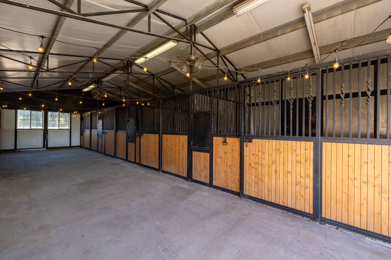 Jubilation Ranch - photo 22