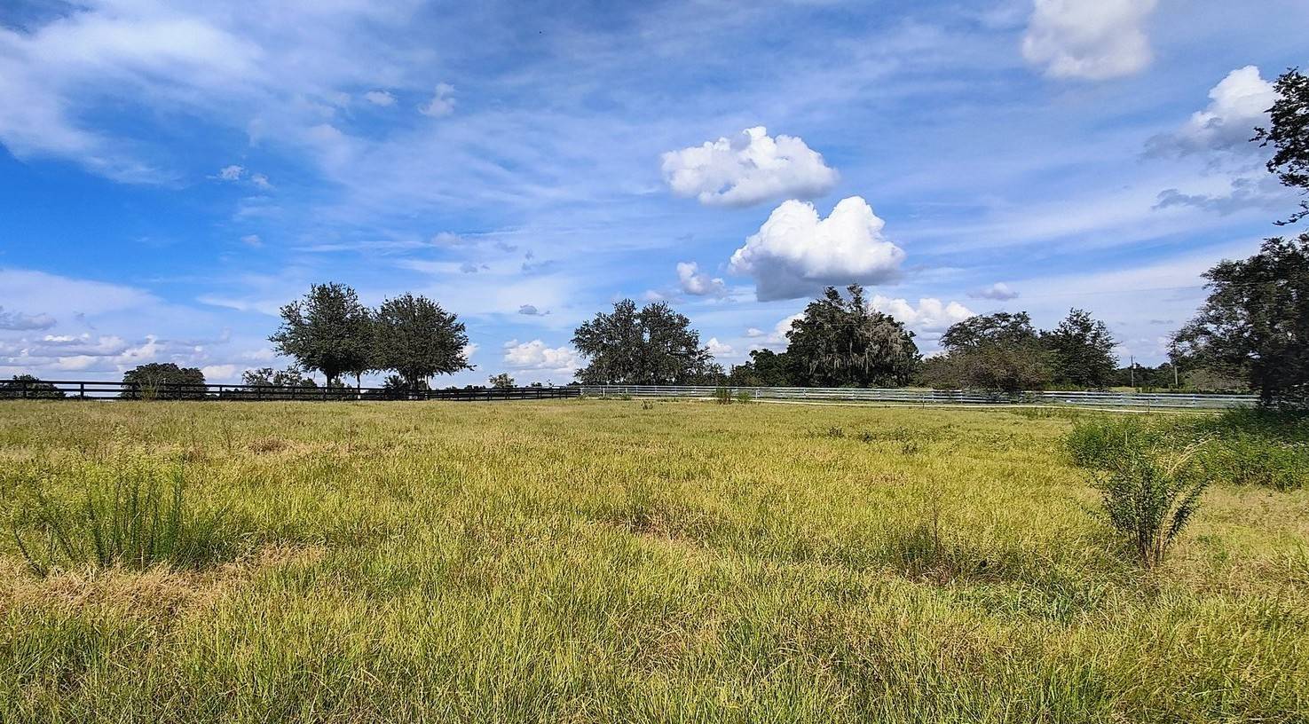 Horse Property for sale.