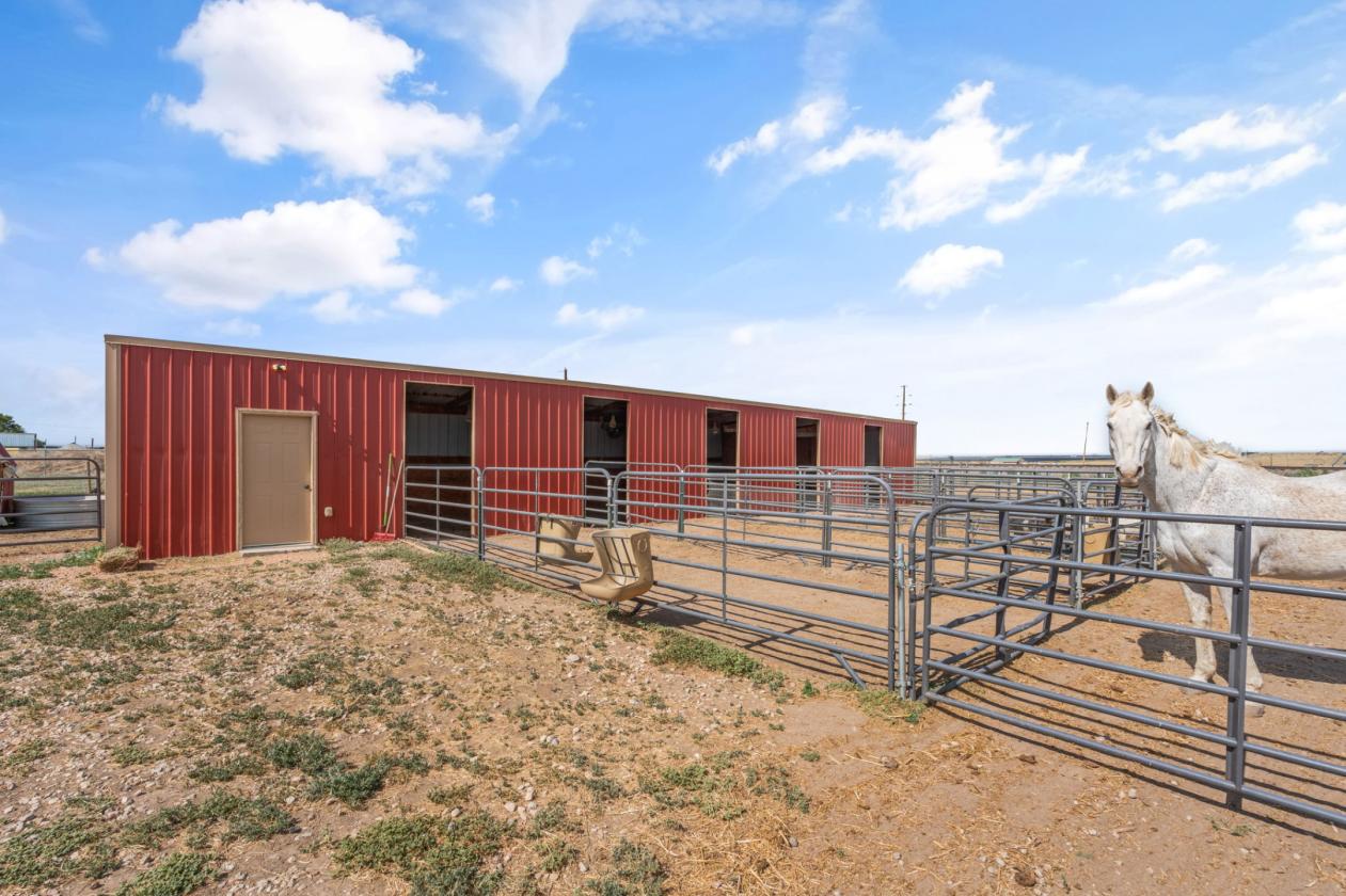 Turn-key equine facility just outside of Fountain! - photo 8