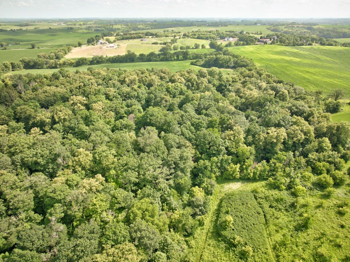 Private Country Oasis on 7.5 Acres - photo 5