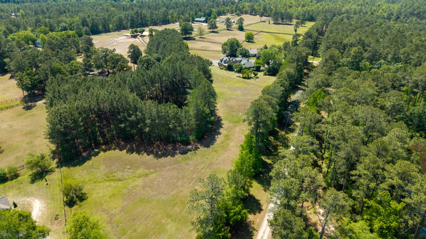 Stargaze Farm - photo 4