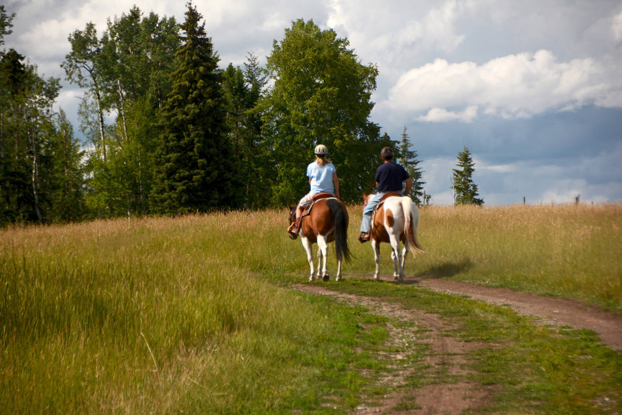 LIMESTONE MOUNTAIN RANCH HORSES, CATTLE, RECREATION Big Lake Ranch