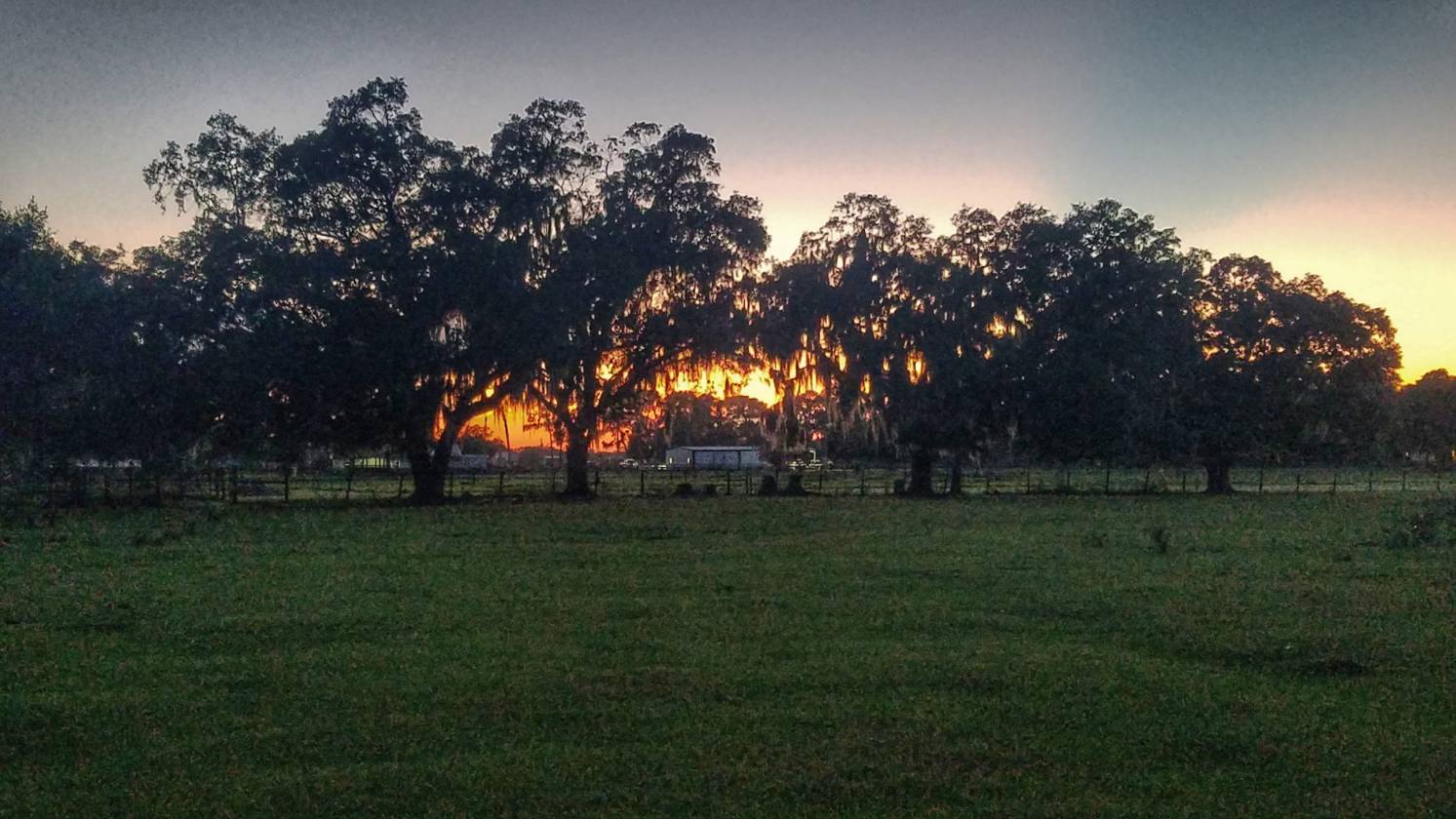 10 acre horse property Affordable in the desirable Lithia area