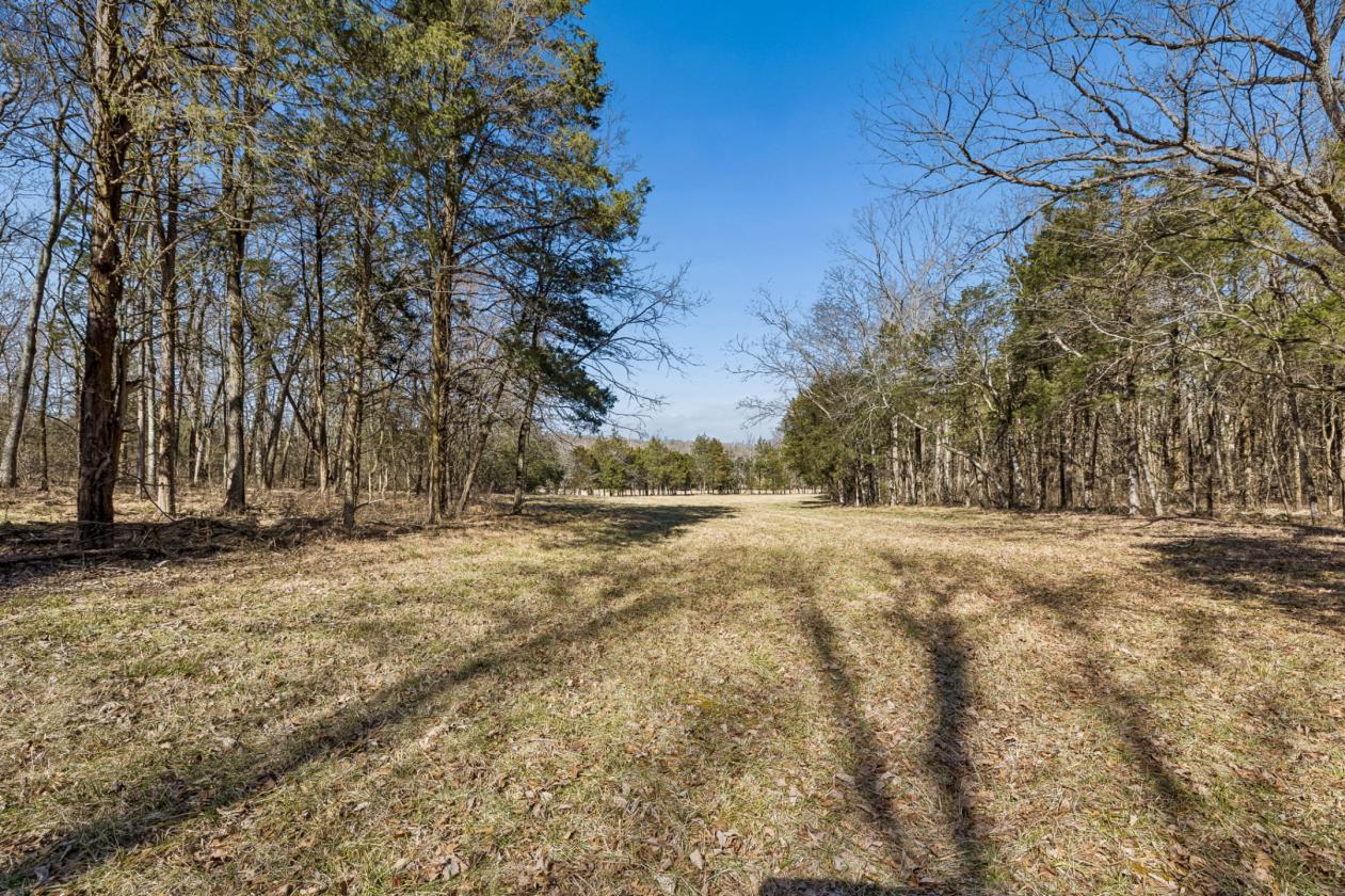 175 Gorgeous Acres - photo 18