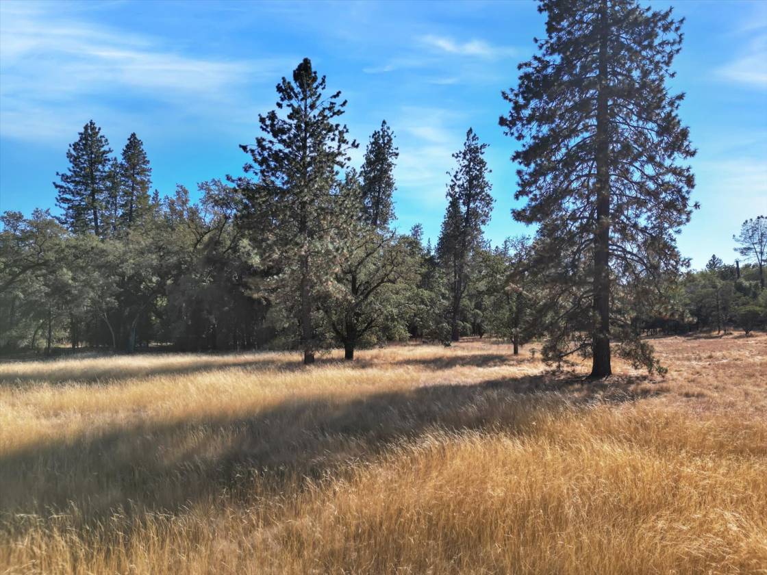Horse Property for sale.