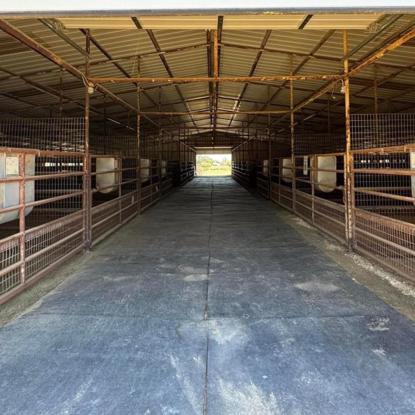 TM Horse Ranch - photo 9