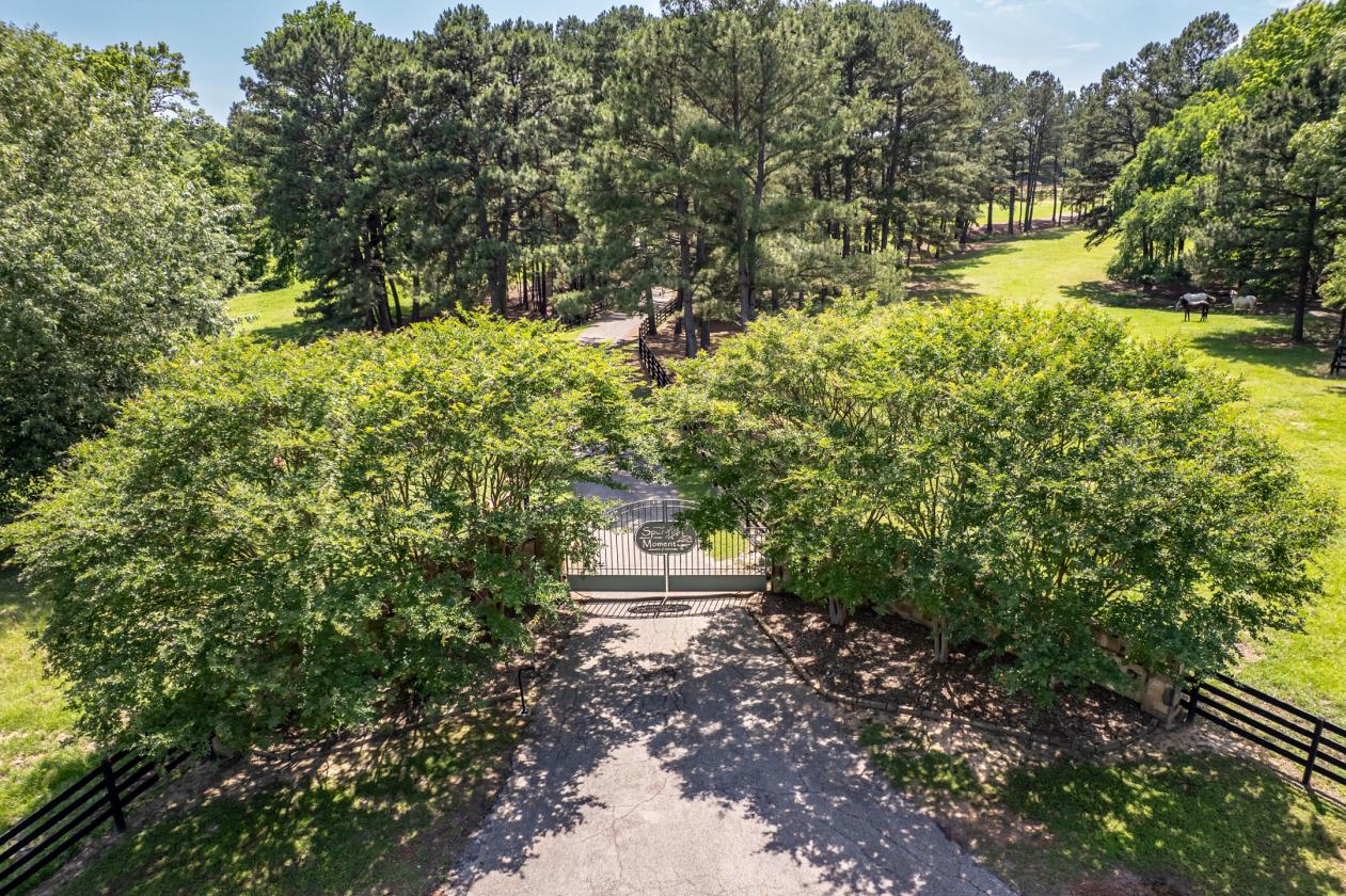 An Iconic Equestrian Estate - photo 8